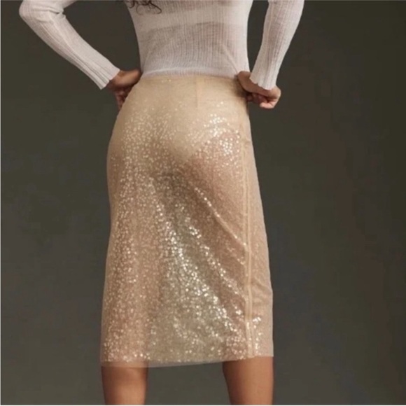 Jason Wu Sequin Midi Skirt - Picture 2 of 4